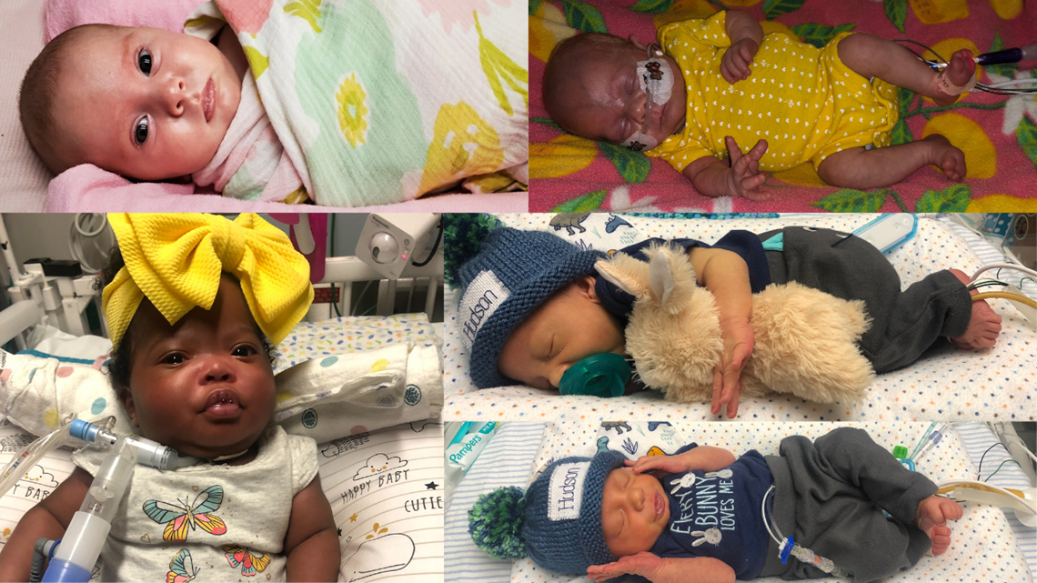 Babies in Charlotte neonatal nursery offer 'Hoppy Easter' wishes - Vimarsana News