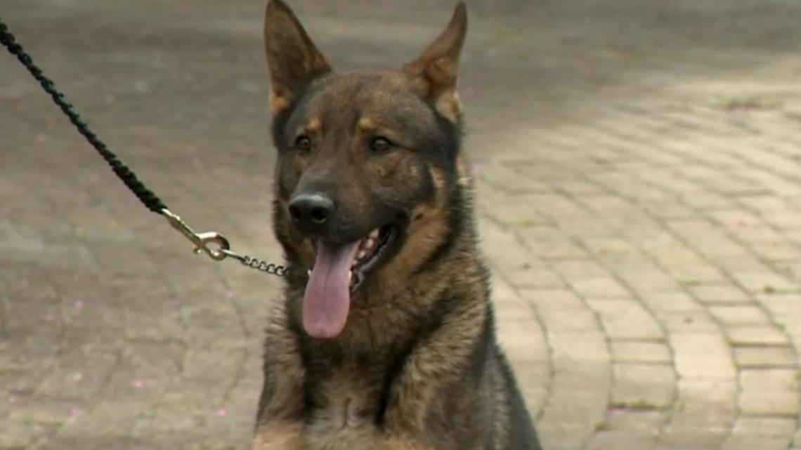Union County Sheriff's Office hires deputy involved in controversial K9 mishandling incident