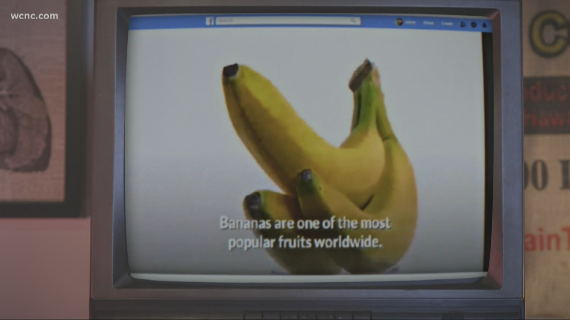 A hoax video circulating social media claims eating a banana each day can boost your immunity to the coronavirus.