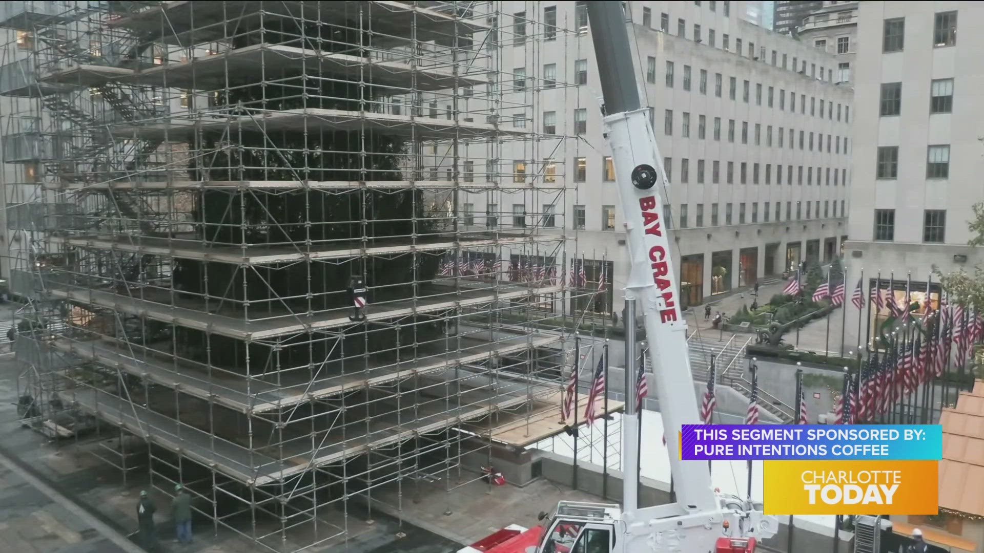 Crews are preparing the Rockefeller Center Christmas Tree for decorations