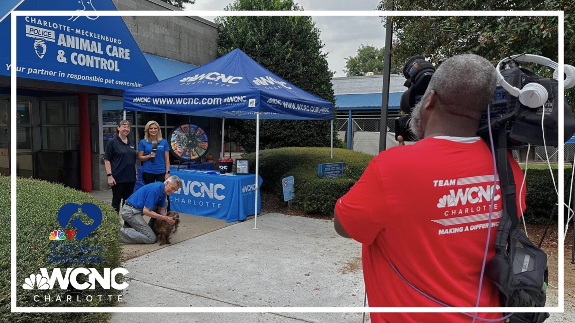 Help pets find forever homes through Clear the Shelters adoption | wcnc.com