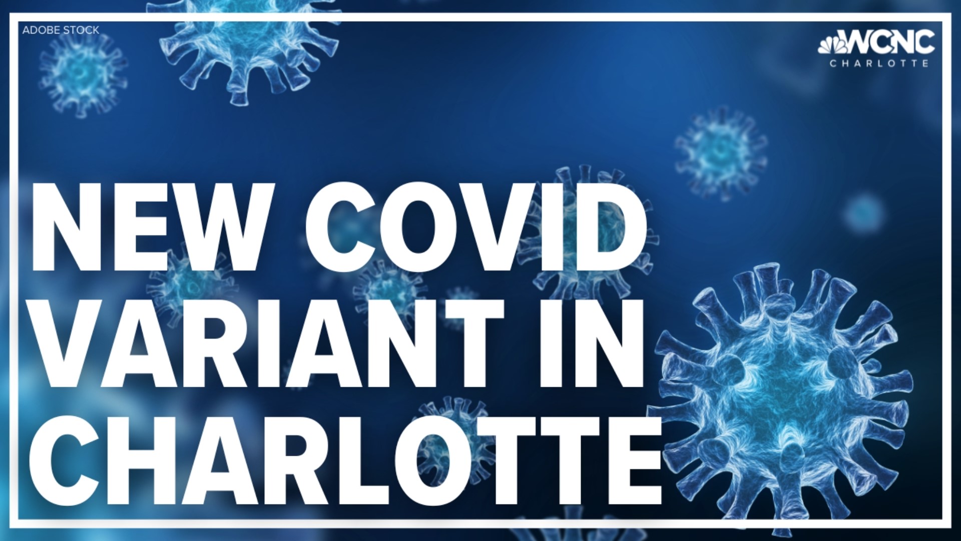 COVID-19 trends have remained steady as most of North Carolina stays in the CDC's low COVID community level.