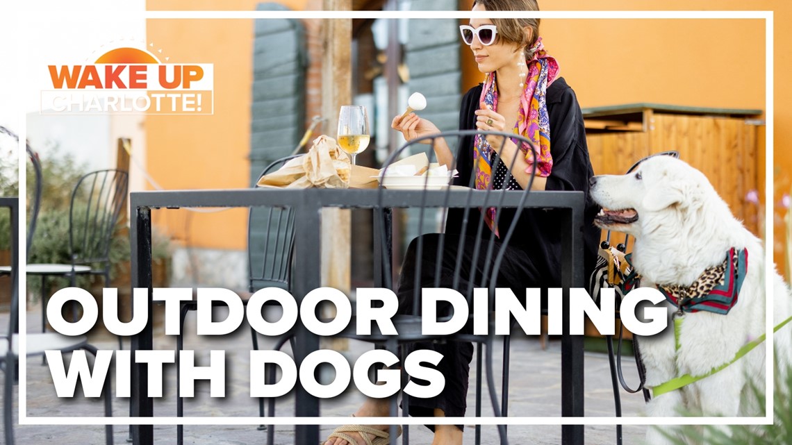 Trending Outdoor dining with dogs