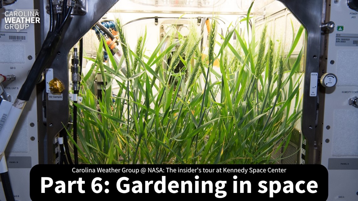 CWG @ NASA Part 6: Gardening in space
