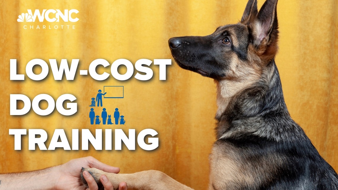 CMPD Animal Care & Control GoodPup offer low-cost dog training
