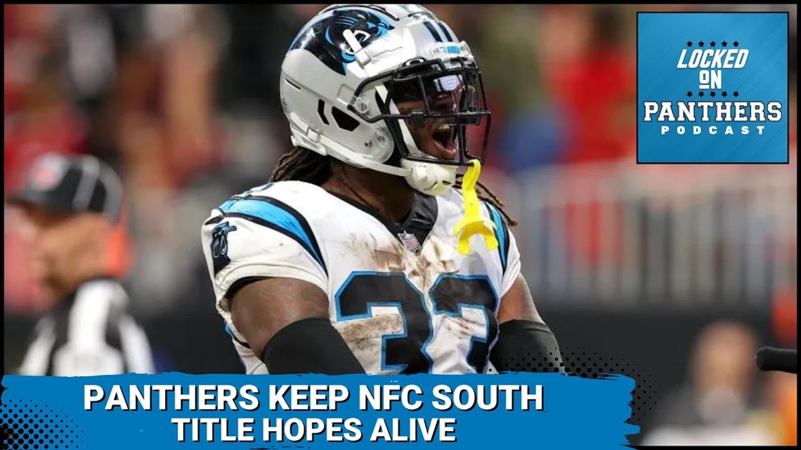 The Carolina Panthers Will Win the NFC South