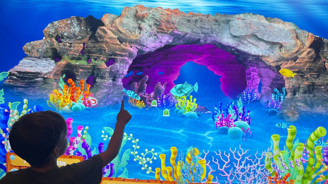 Doodle Reef at SEA LIFE Charlotte-Concord opens Jan. 20 - Vimarsana News