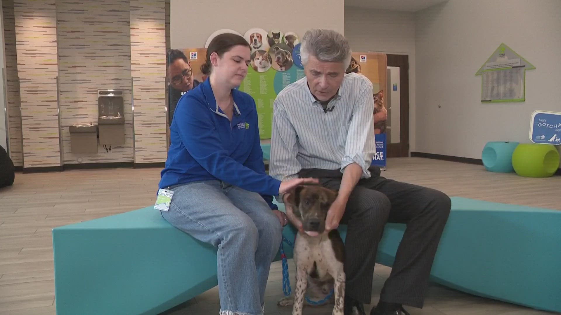 WCNC's Larry Sprinkle is at the Humane Society of Charlotte with how you can help.