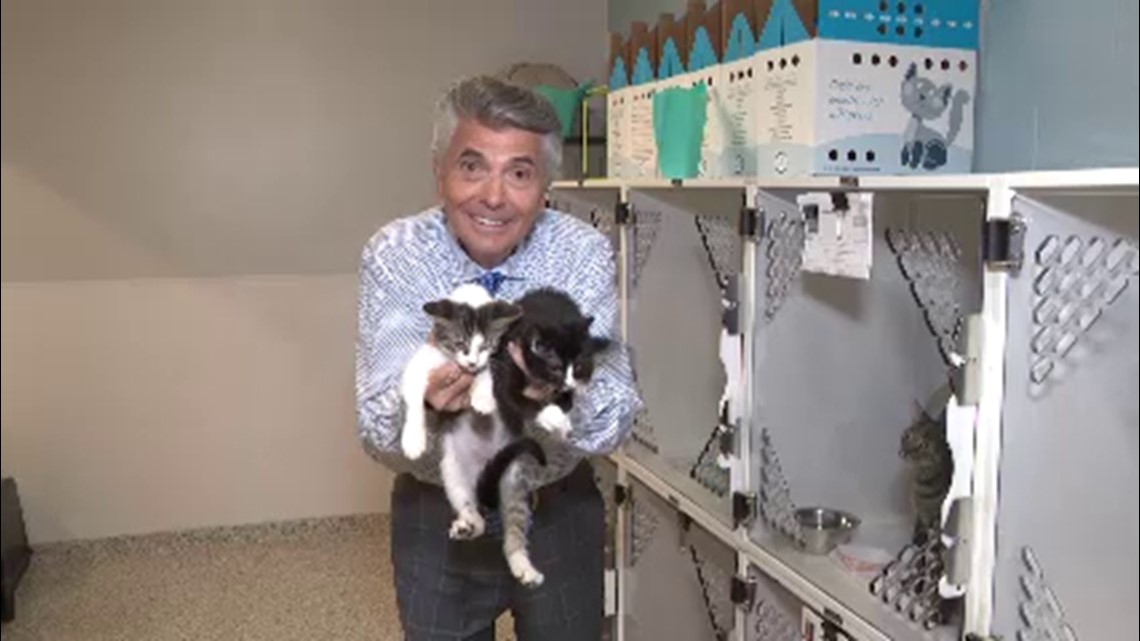 Clear the Shelters at Gaston County Animal Care & Control | wcnc.com