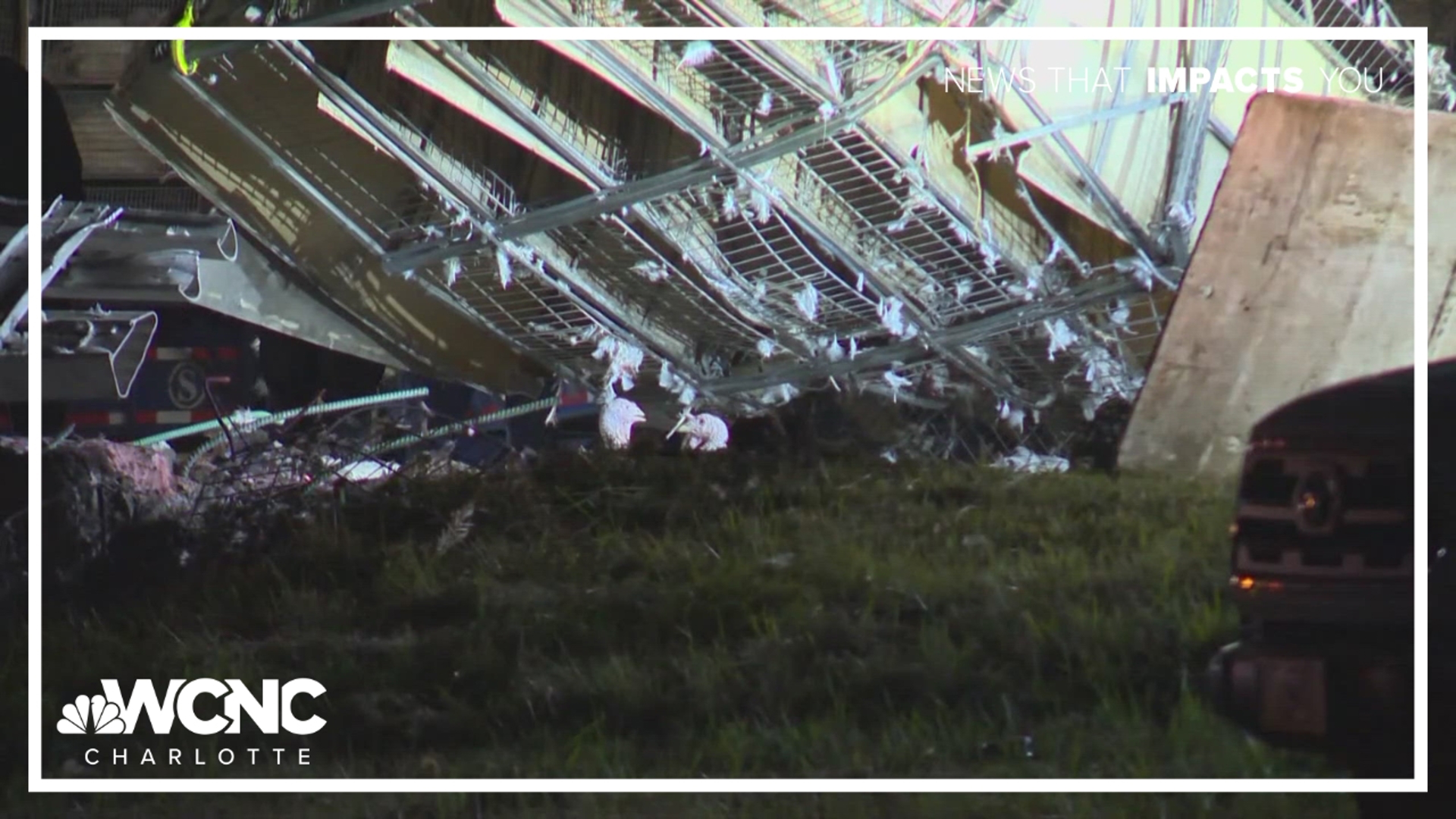Tractor-trailer carrying live turkeys crashes on I-77 ramp; 3