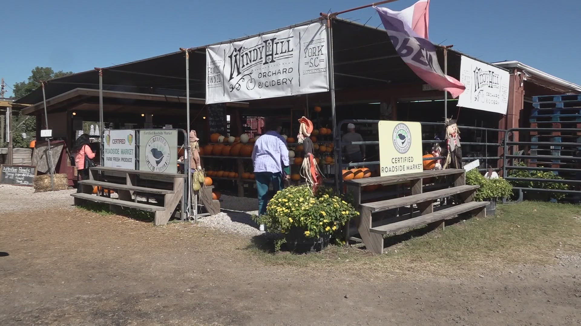 Apple orchards are suffering from hail storms that blew through the Carolinas in April.