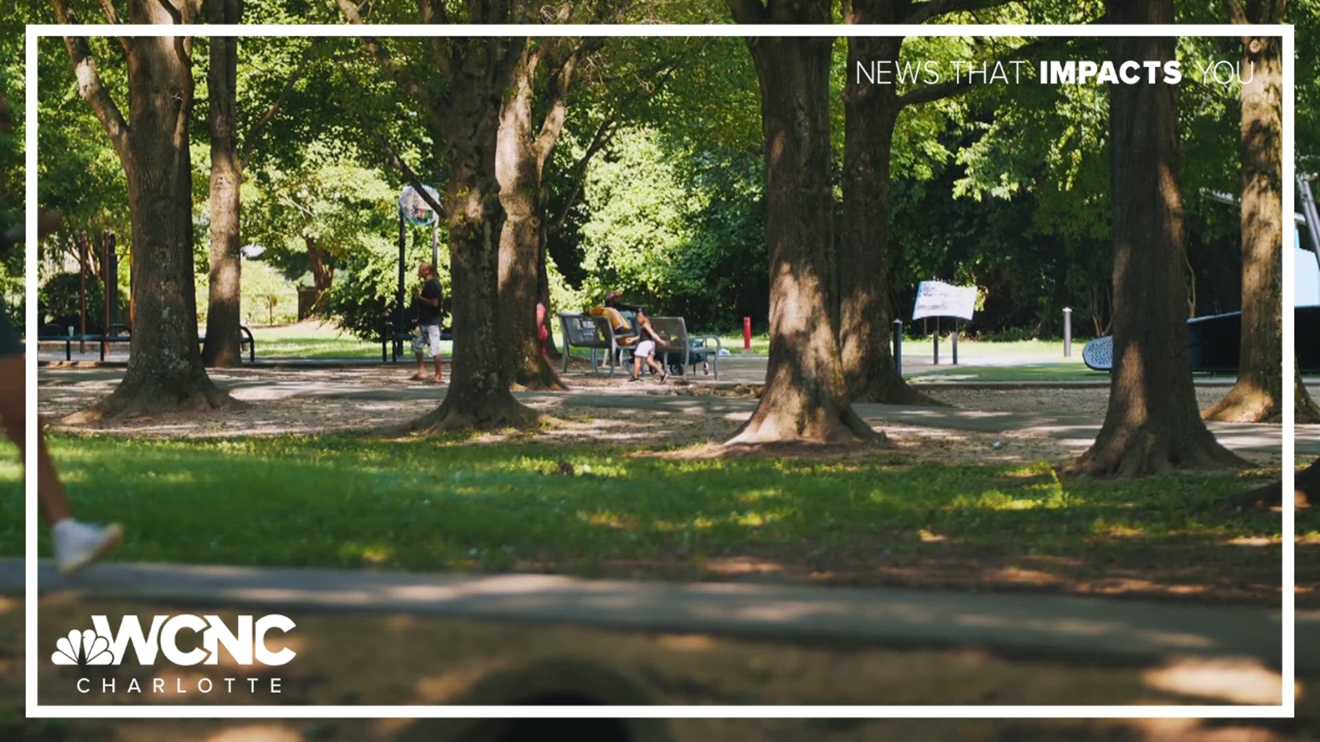 Why some Charlotte neighborhoods feel hotter than others and how trees could be the fix – WCNC