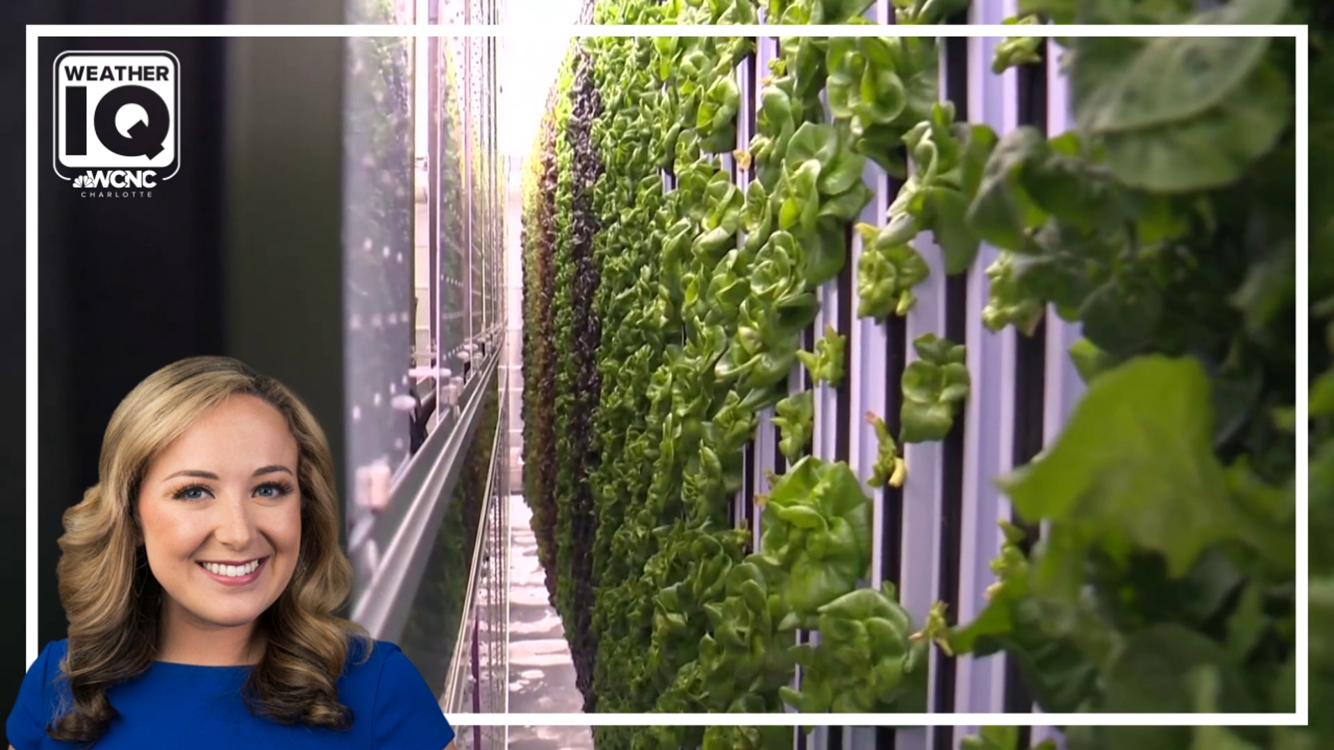 These farms impact local communities by providing education about climate change, food security, biodiversity, pollinators and nutrition.