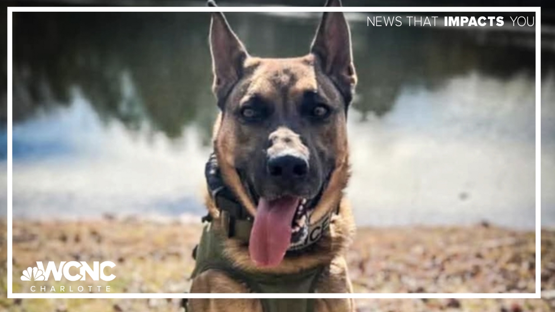 The Wadesboro Police Department confirmed Blitz was killed during an attempt to arrest a suspect.