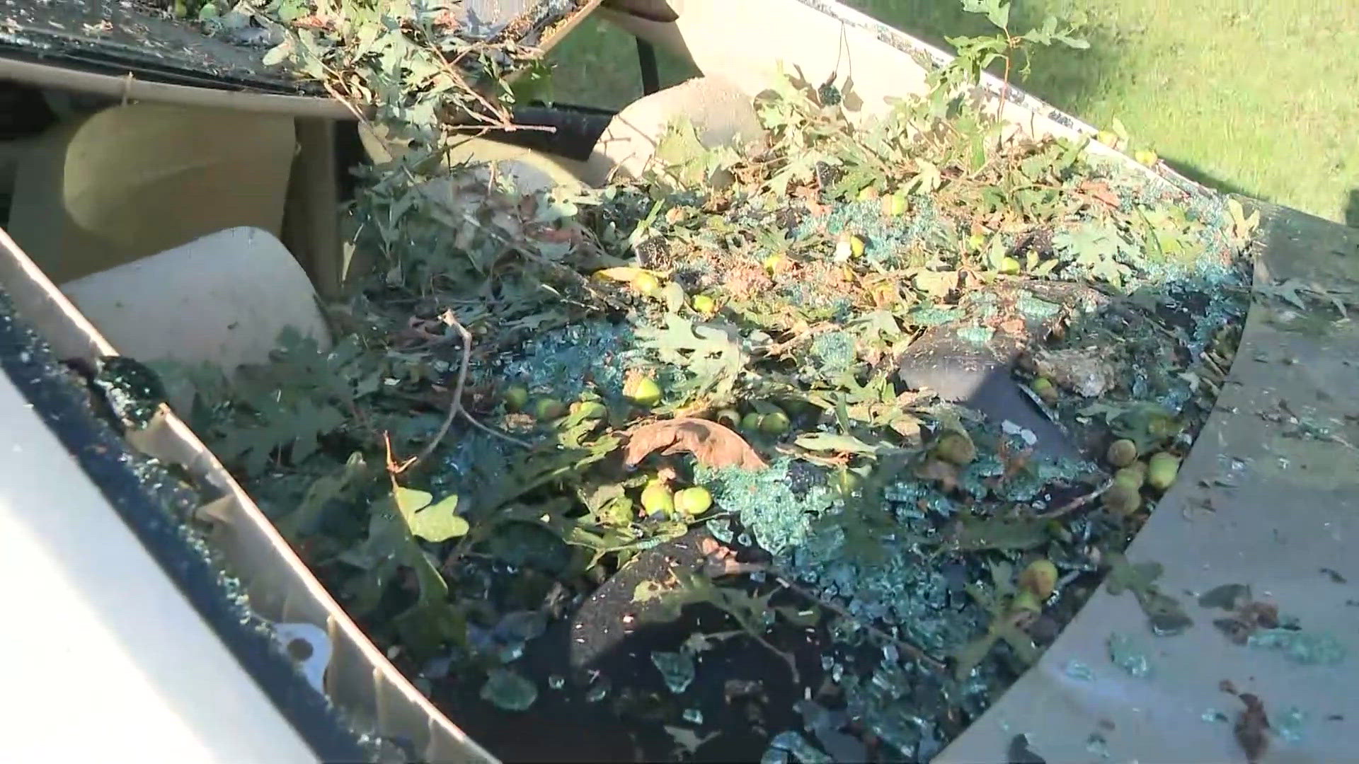 Storm damages cars, tents, downed trees at Wild Goose Festival in Iredell County