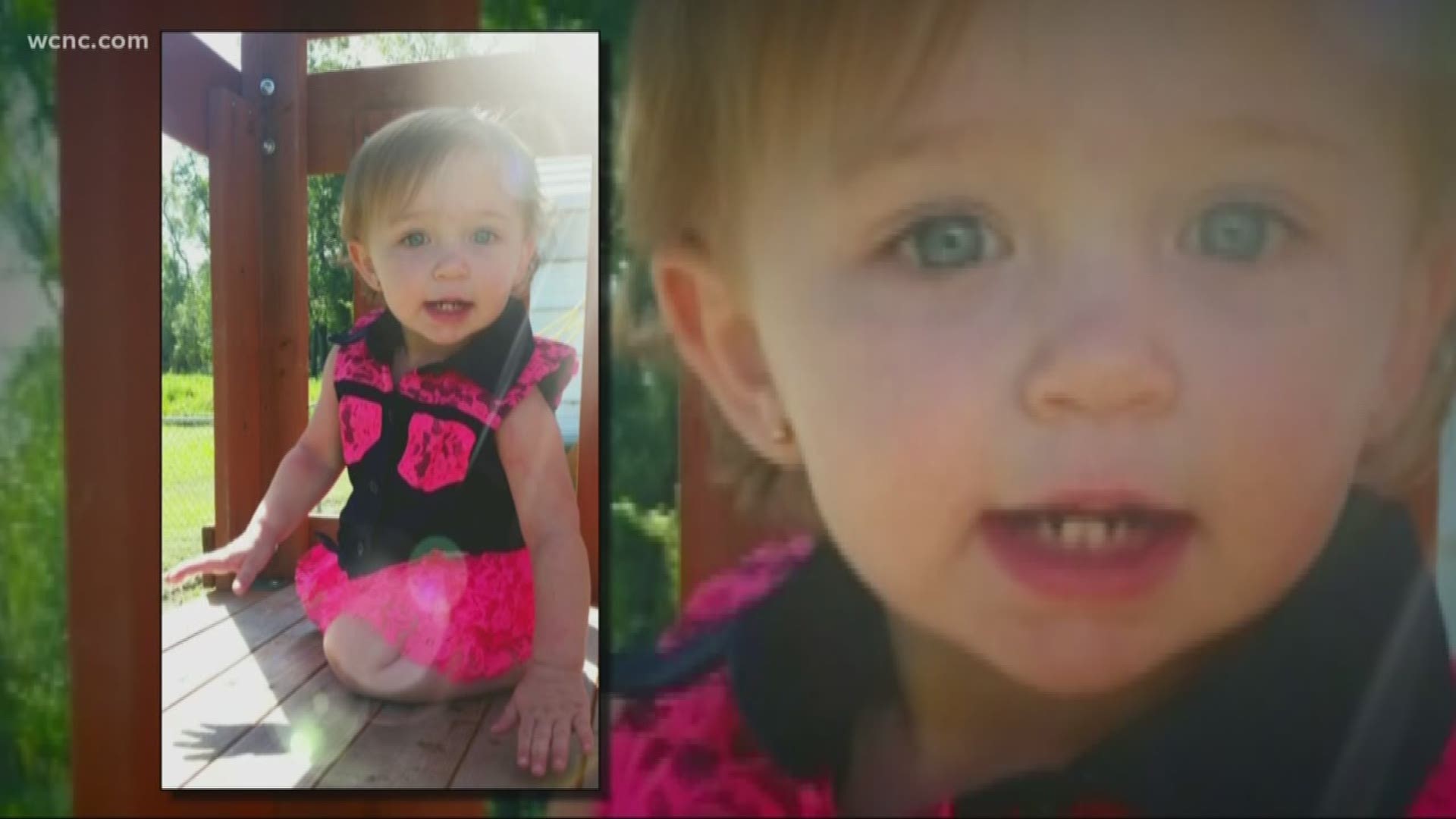 NC child attacked, nearly killed by family dog