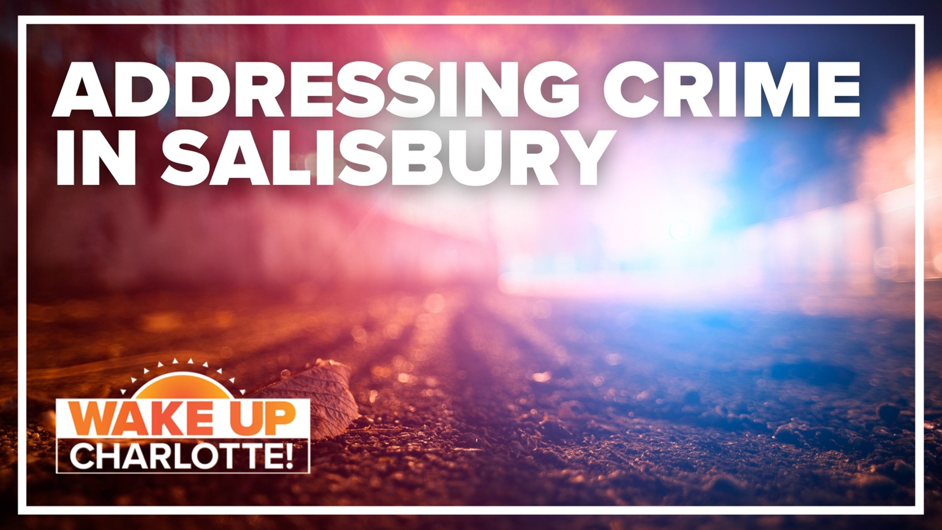 The interim Salisbury Police Chief is apologizing to the community for the recent crime.