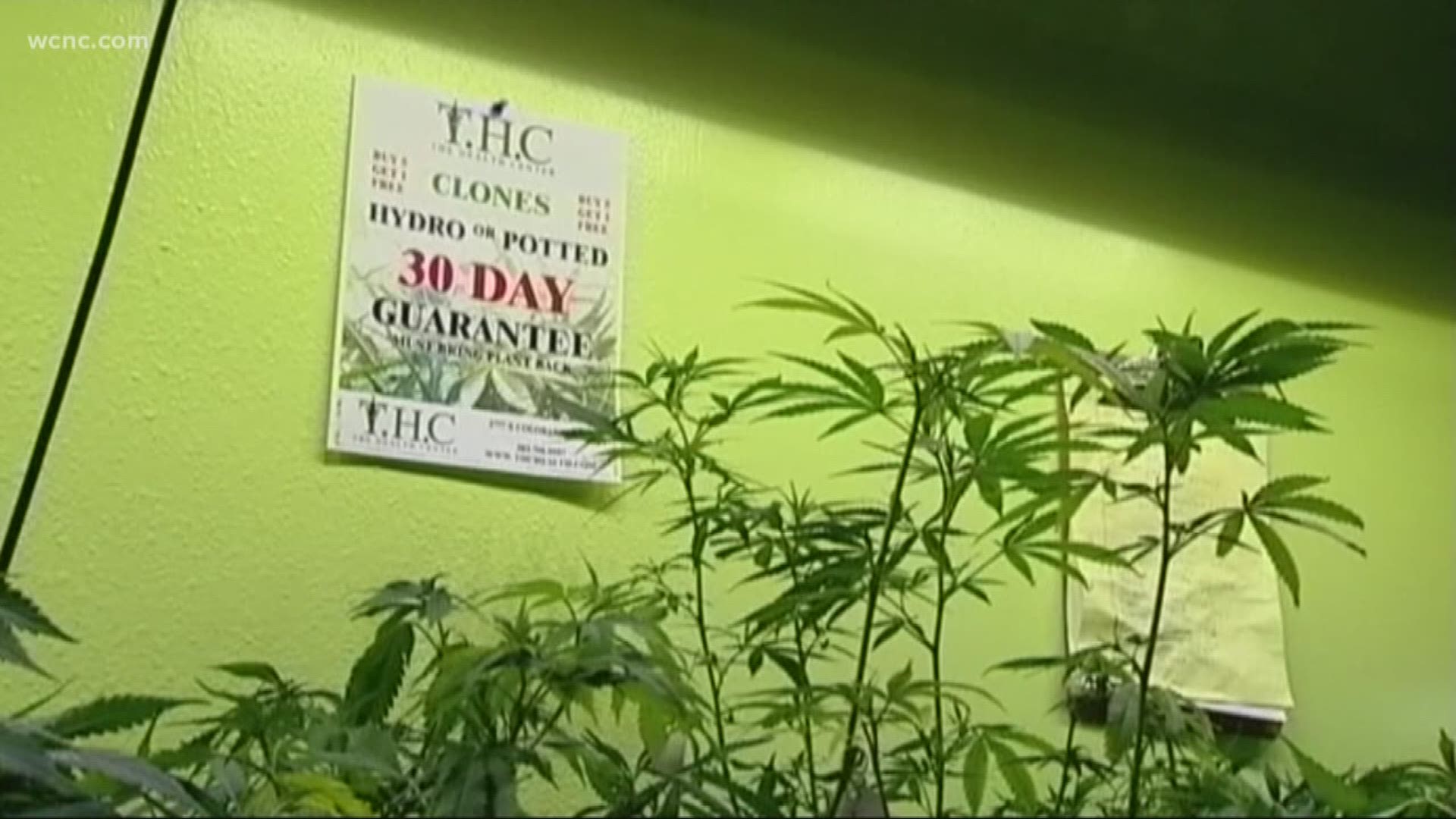 More businesses dropping marijuana drug tests
