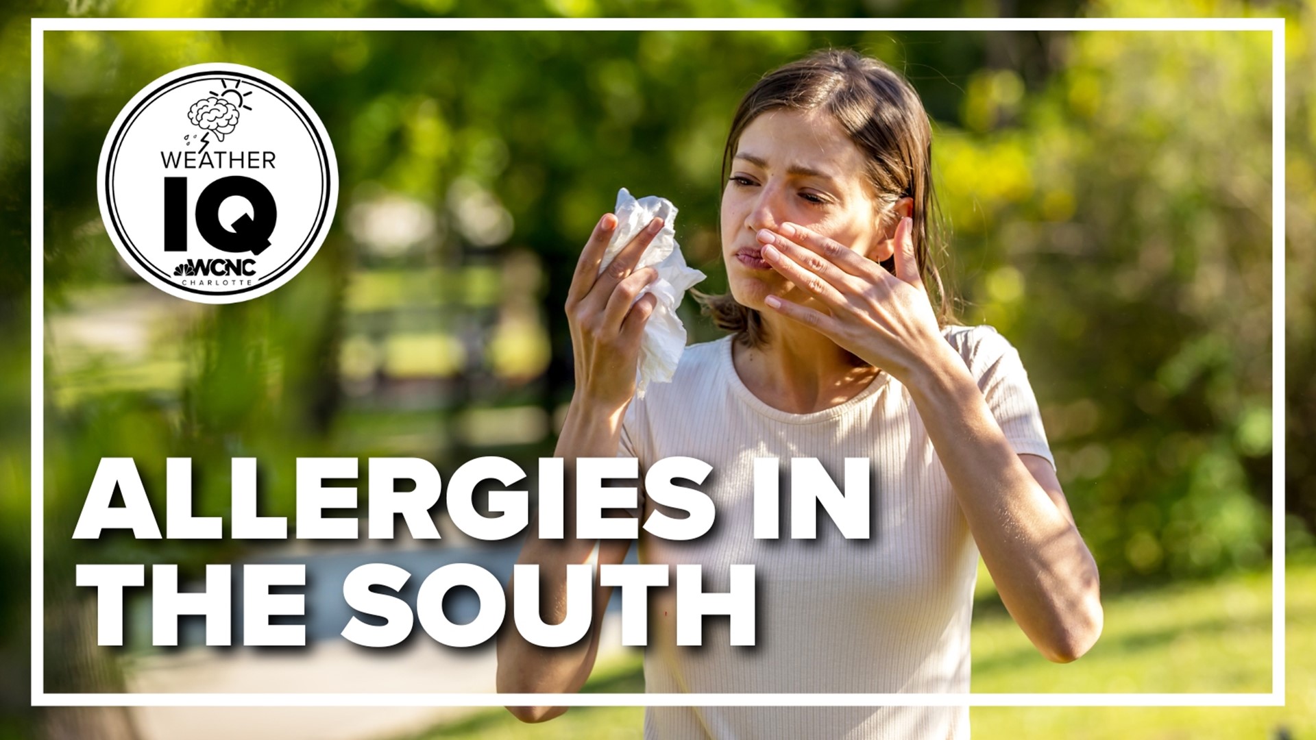 Why your allergies may be worse in the south.