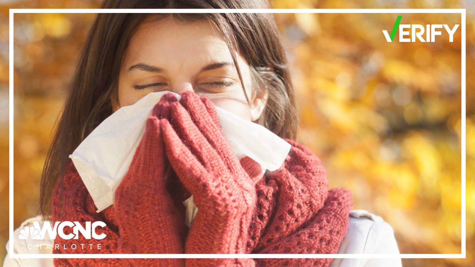 If you're sniffling or sneezing a little more, experts say fall allergies are becoming more common and more intense. Here's how you can find relief.