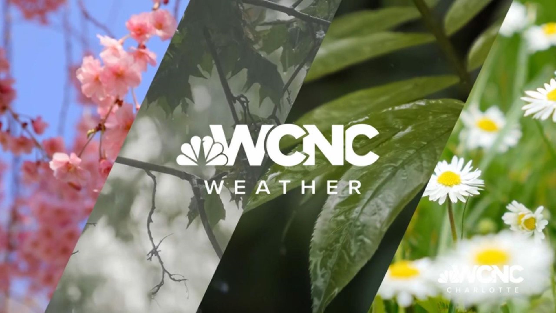 Experience the difference with Brad Panovich and the WCNC Charlotte Weather Team. They will keep you informed when it's important to stay weather aware.