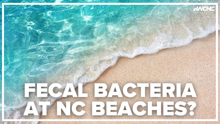 Climate change may be increasing fecal bacteria at NC beaches