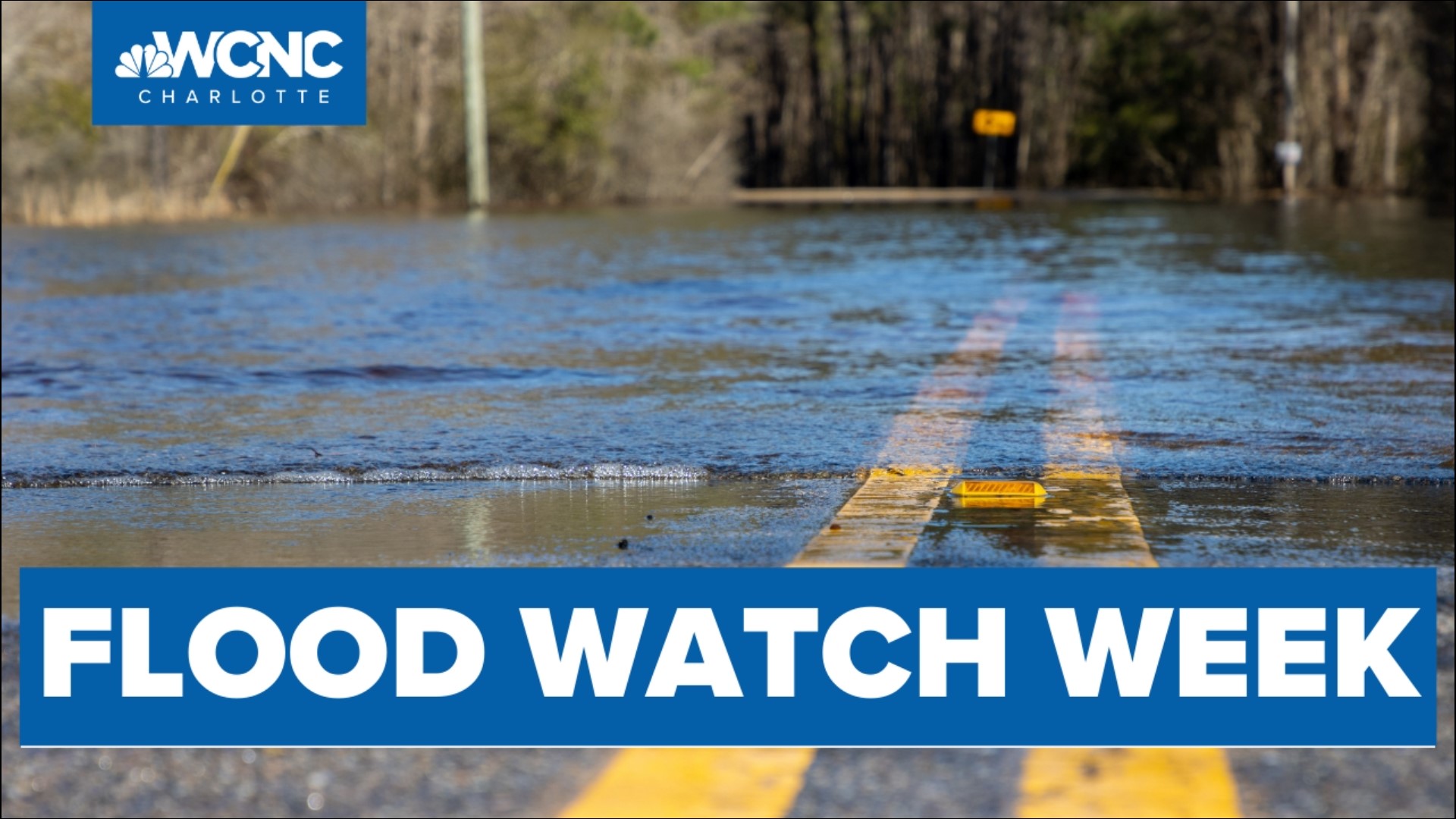 Meteorologist says national flash flood warning system would save lives |  CBC News