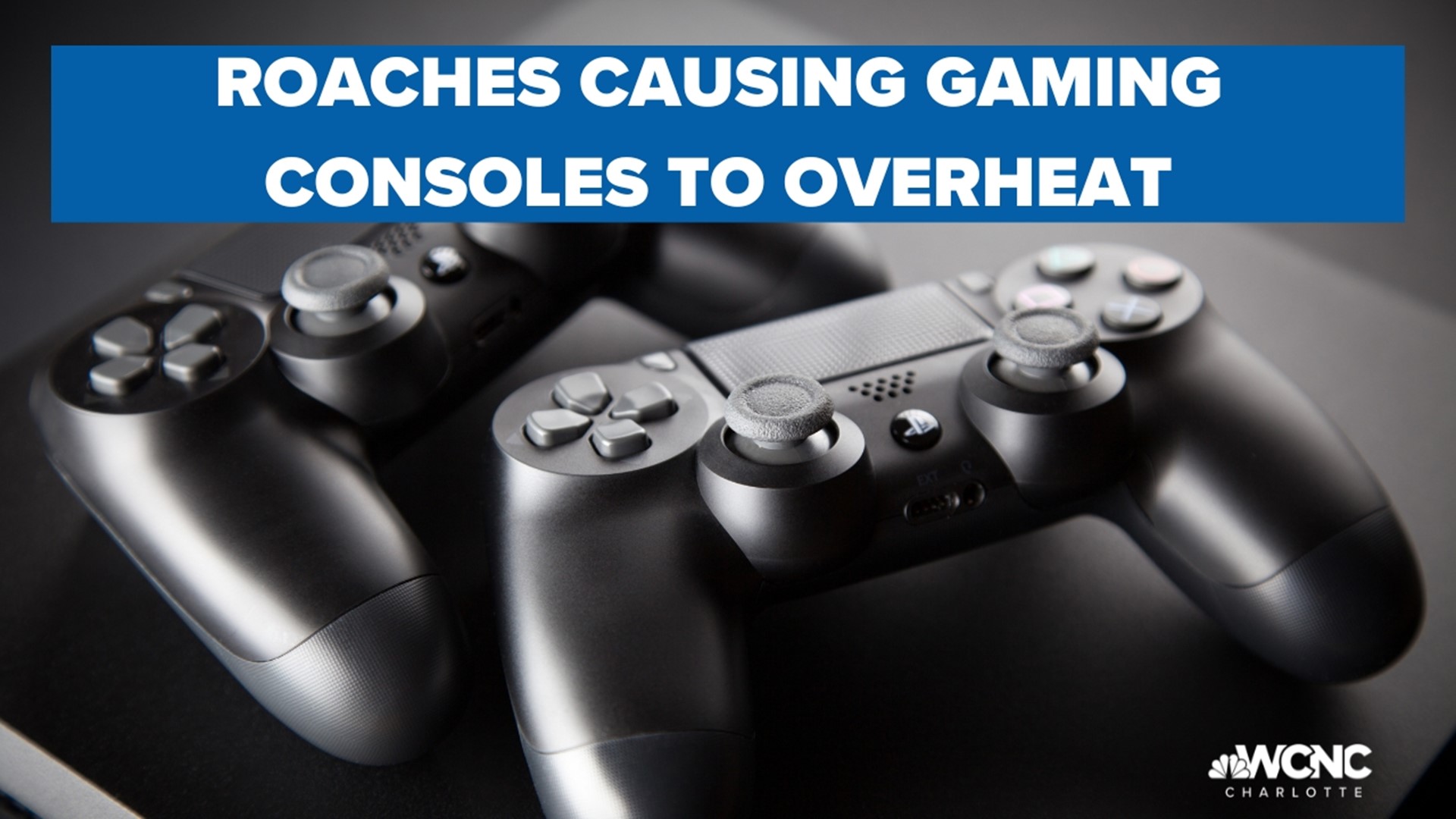 Cockroaches causing game consoles to overheat
