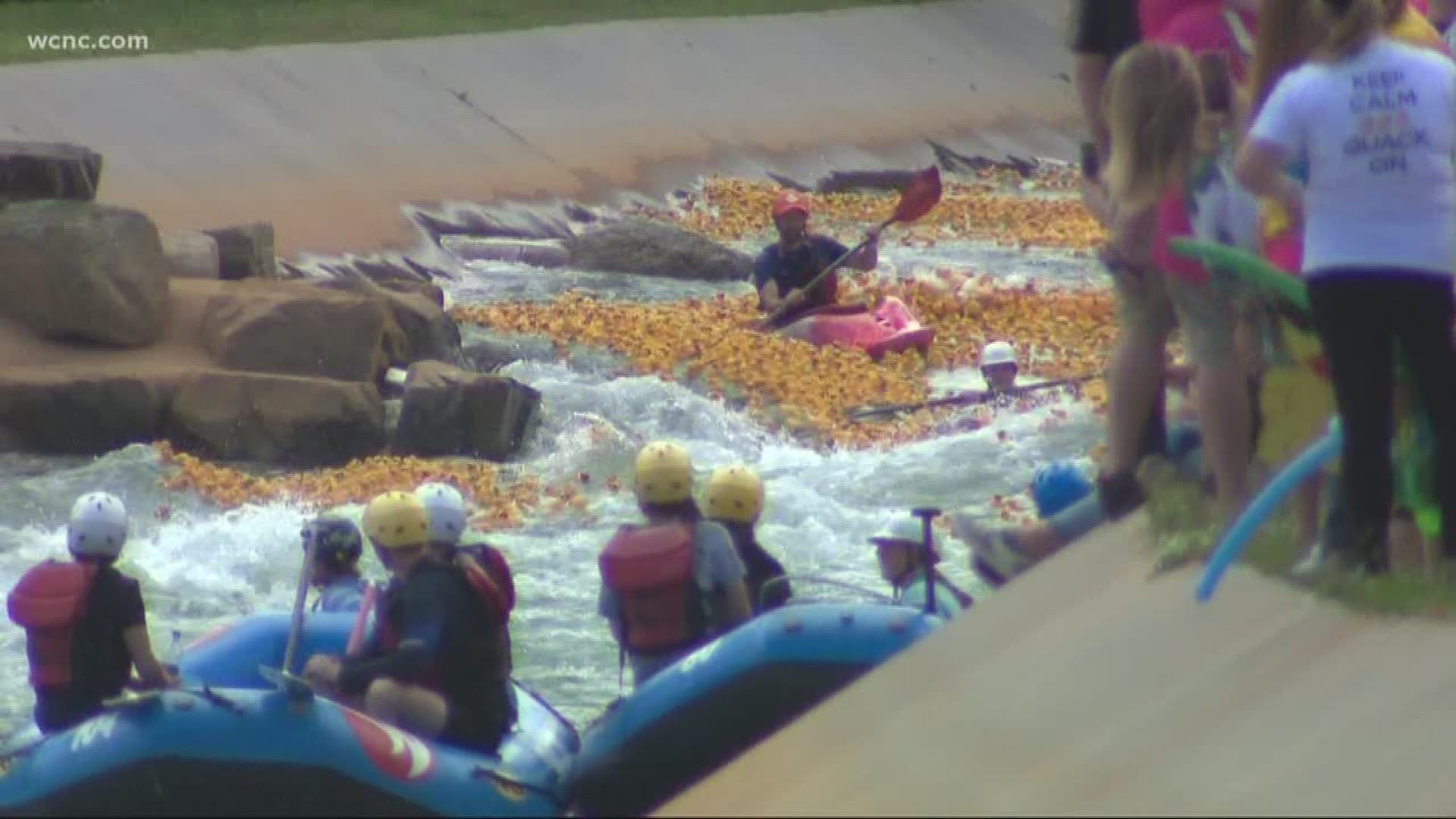 Thousands lined the banks of the National Whitewater Center to watch rubber ducks brave the rapids. The race benefits Kindermourn, an organization that helps those who have lost a child or parent.