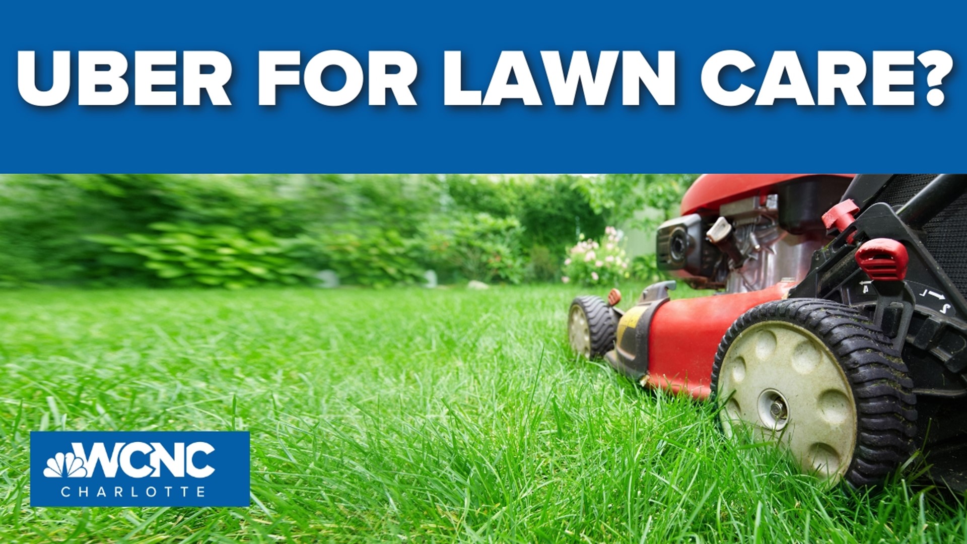 Uber-like app is now up and running to get lawn care without a commitment.