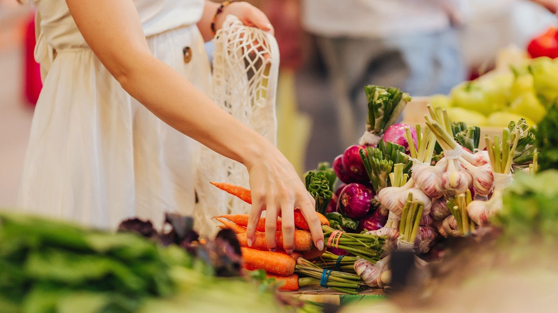 Government Shutdown Halts SNAP Benefits, Forcing Local Food Aid Initiatives Nationwide