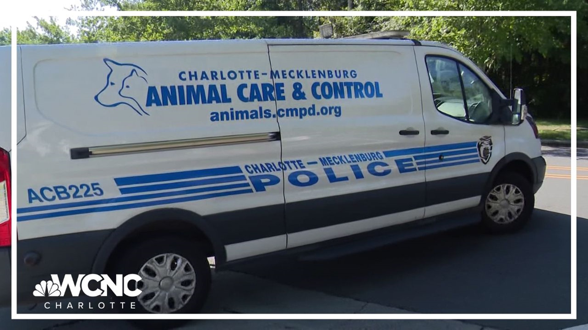 The owner of two dogs that broke free and attacked two women in northeast Charlotte has been charged, police announced.