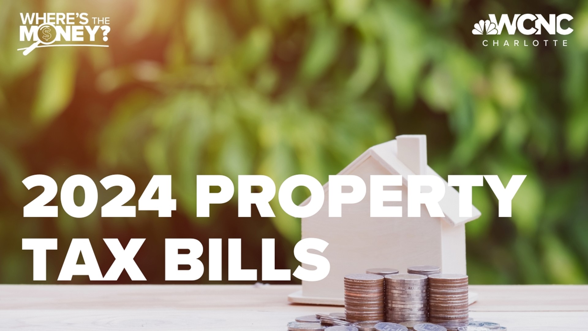 Mecklenburg County 2024 property taxes