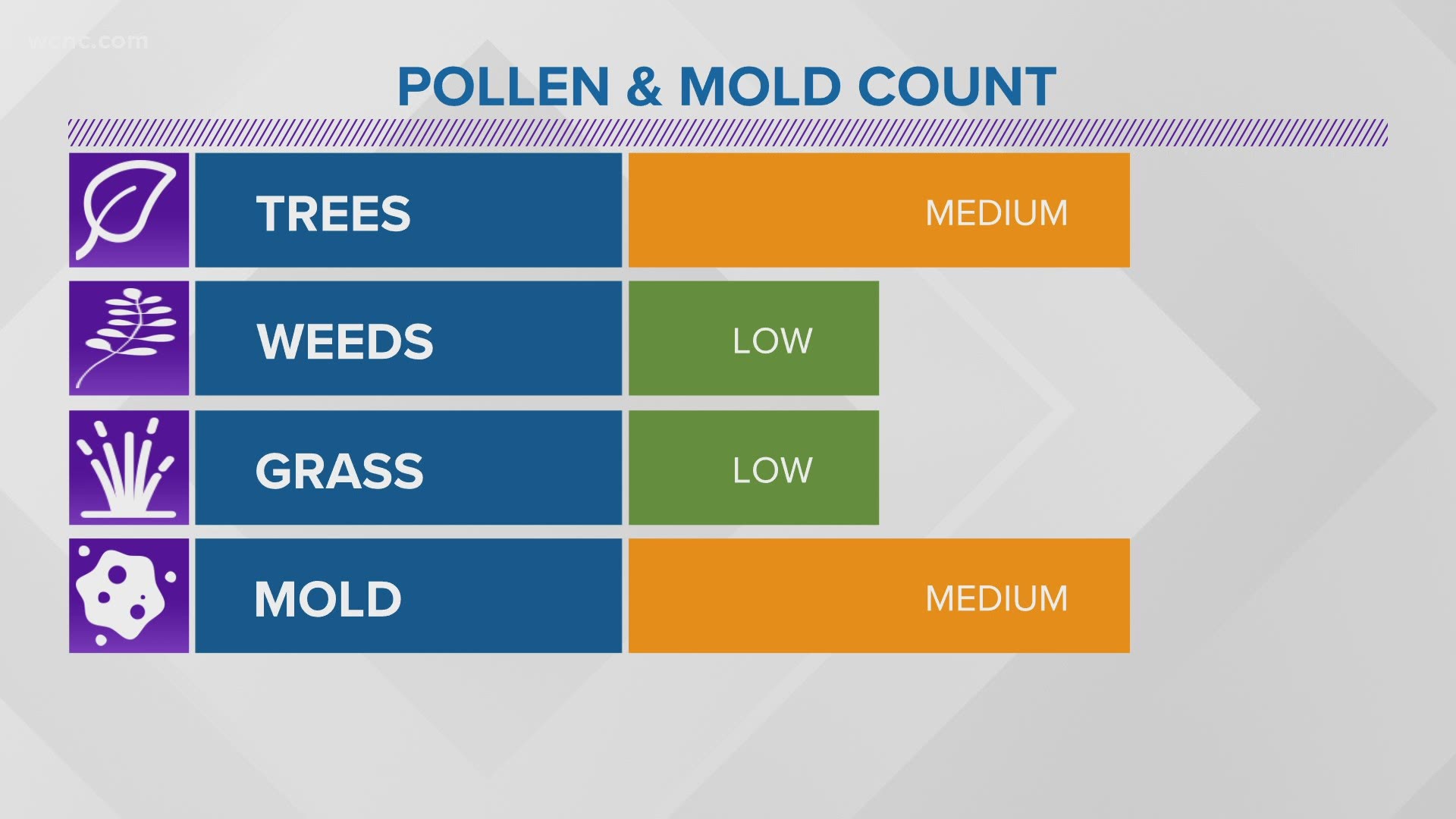 Allergies bugging you? Pollen levels are on the rise