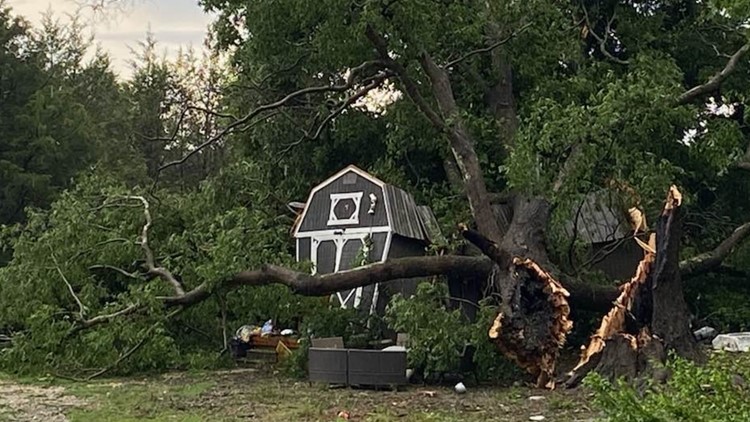Thunderstorm topples trees in York, Lancaster counties