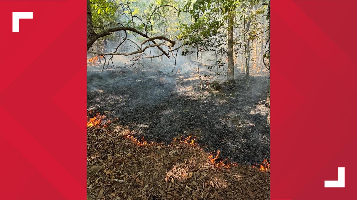 Firefighters contained a blaze ignited by a crashed personal drone near Lovelady Road on Sunday, according to Lovelad...