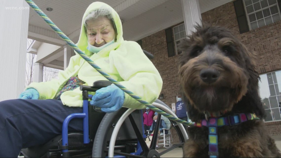 Visiting dogs bring joy to Elmcroft Senior Living residents | wcnc.com