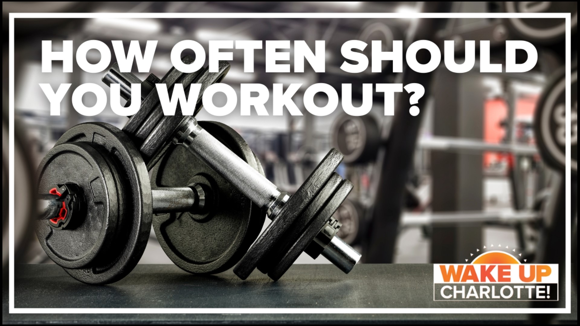 When should I workout?