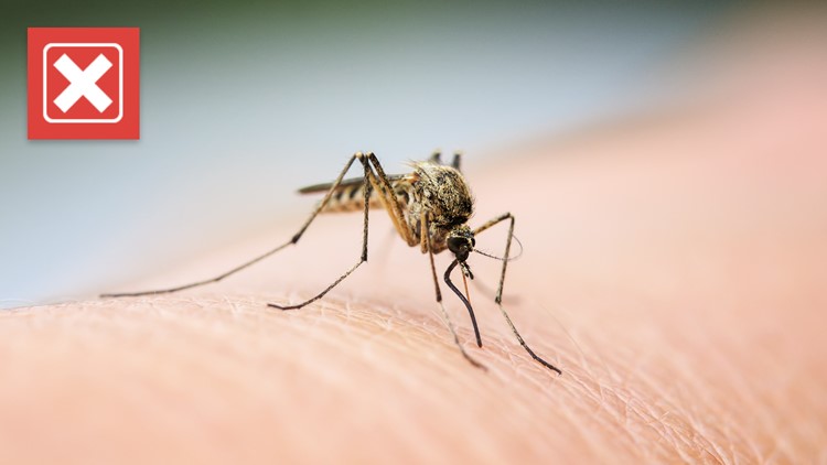 VERIFY: No, you shouldn't use Listerine as a mosquito repellent