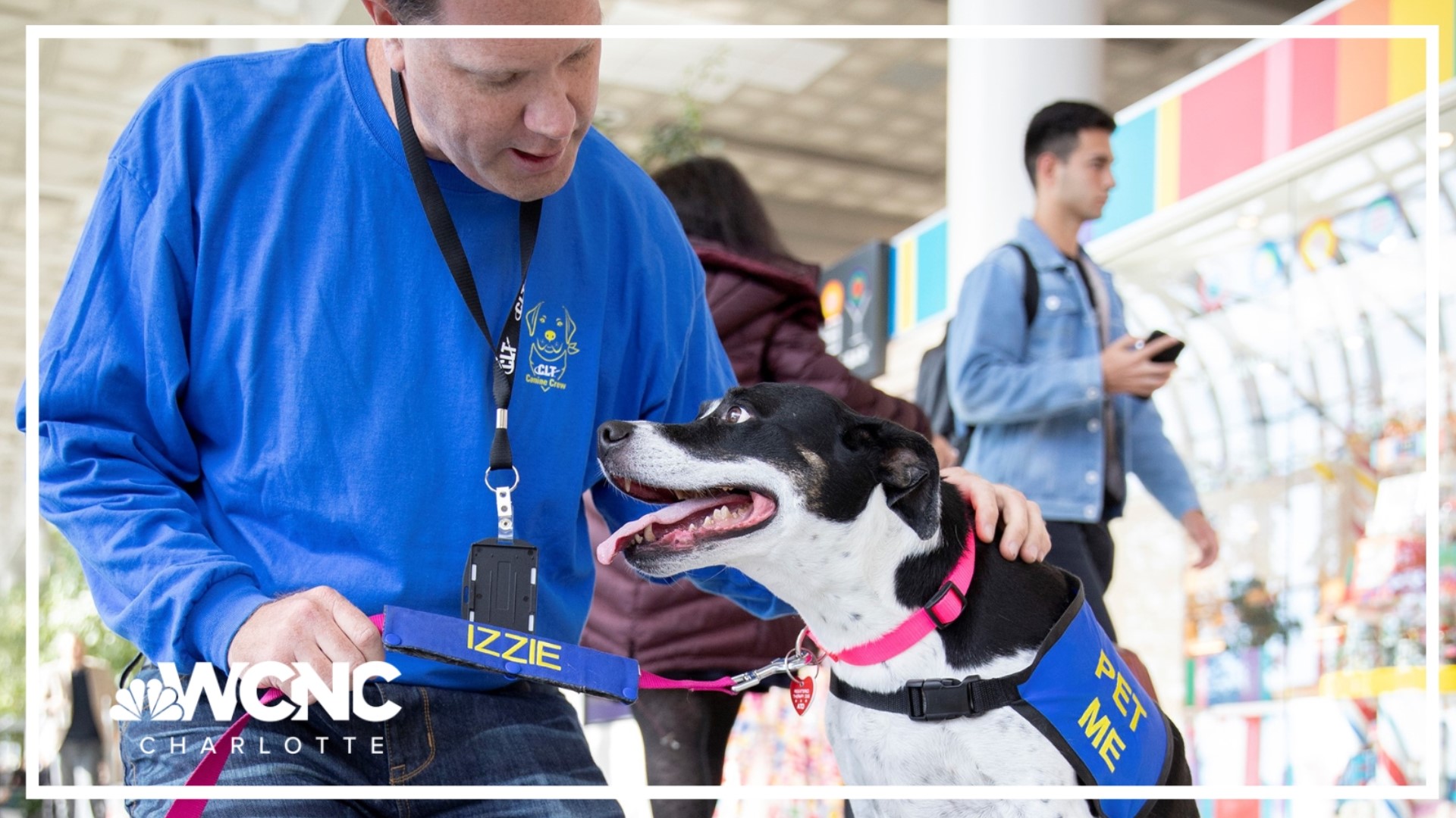 Canine Crew volunteers welcome passengers with a smile and a wagging tail, spread joy through positive interactions, and help calm stressed passengers.