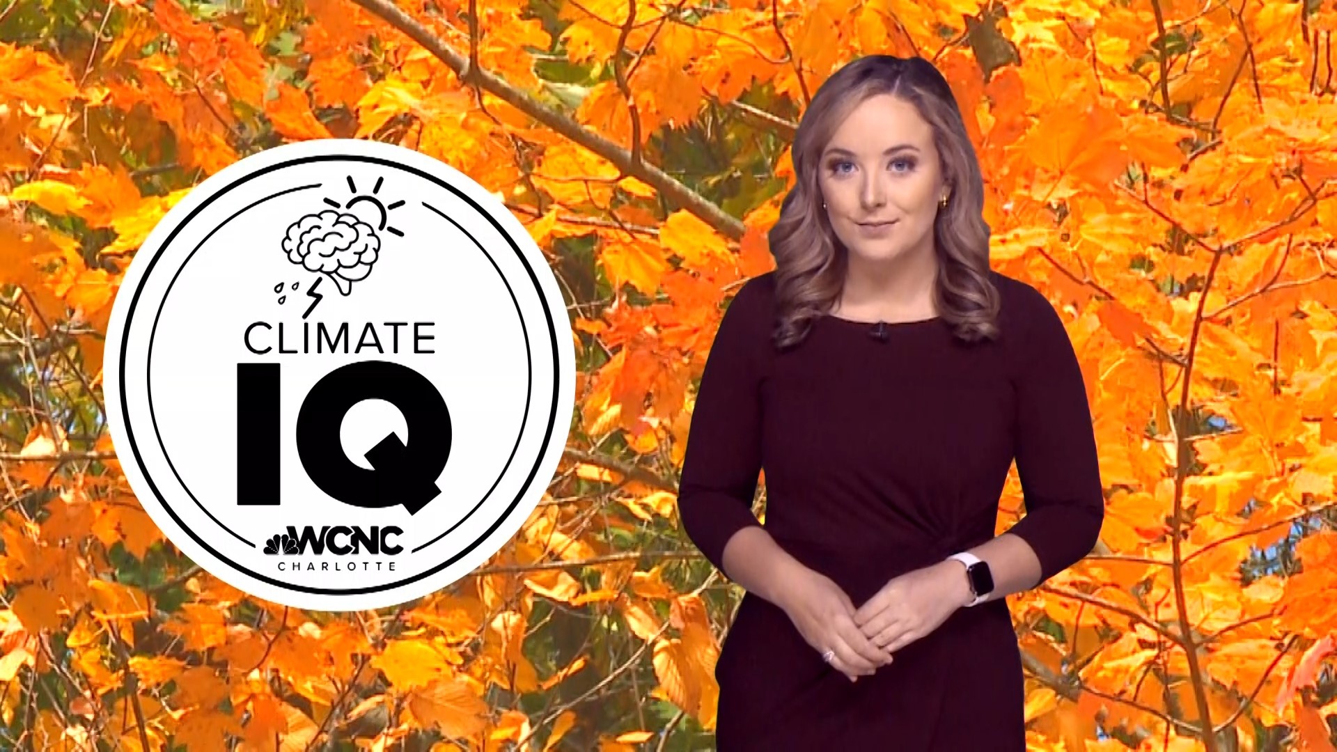 Warming brought on by climate change can dull reds, oranges, and yellows and delay the peak foliage period.