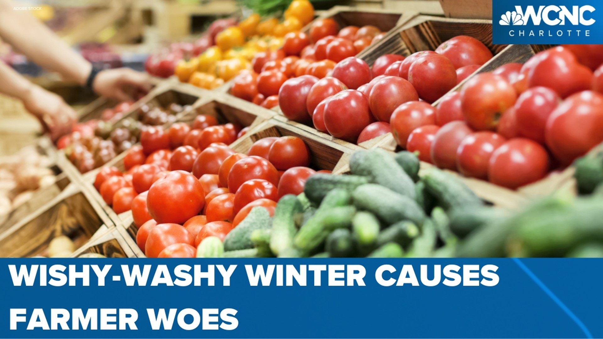Farmers Worry Warm Weather Could Hurt Crops Charlotte News Wcnc
