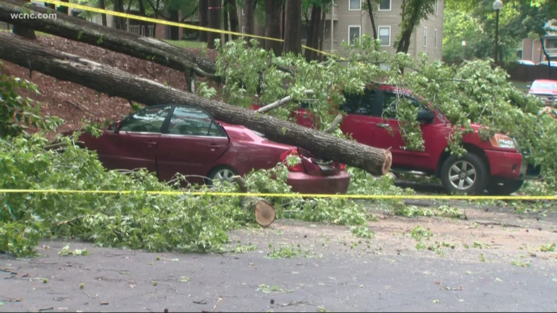 Severe weather knocked down trees and power lines in York and Cabarrus counties.