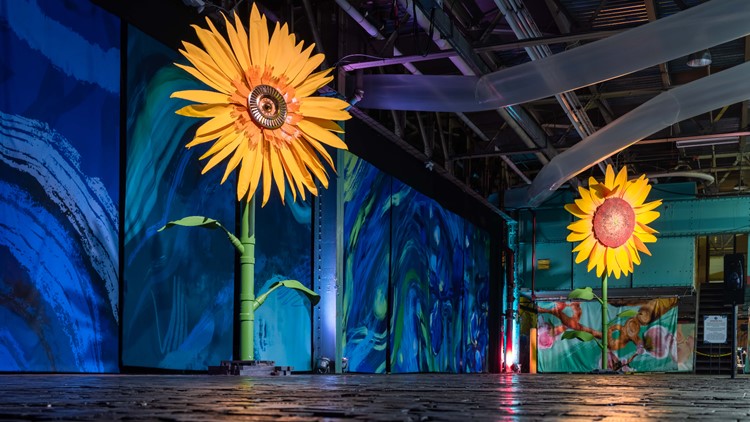 Immersive Van Gogh exhibit projected to leave $39 million impact on Charlotte, organizers say