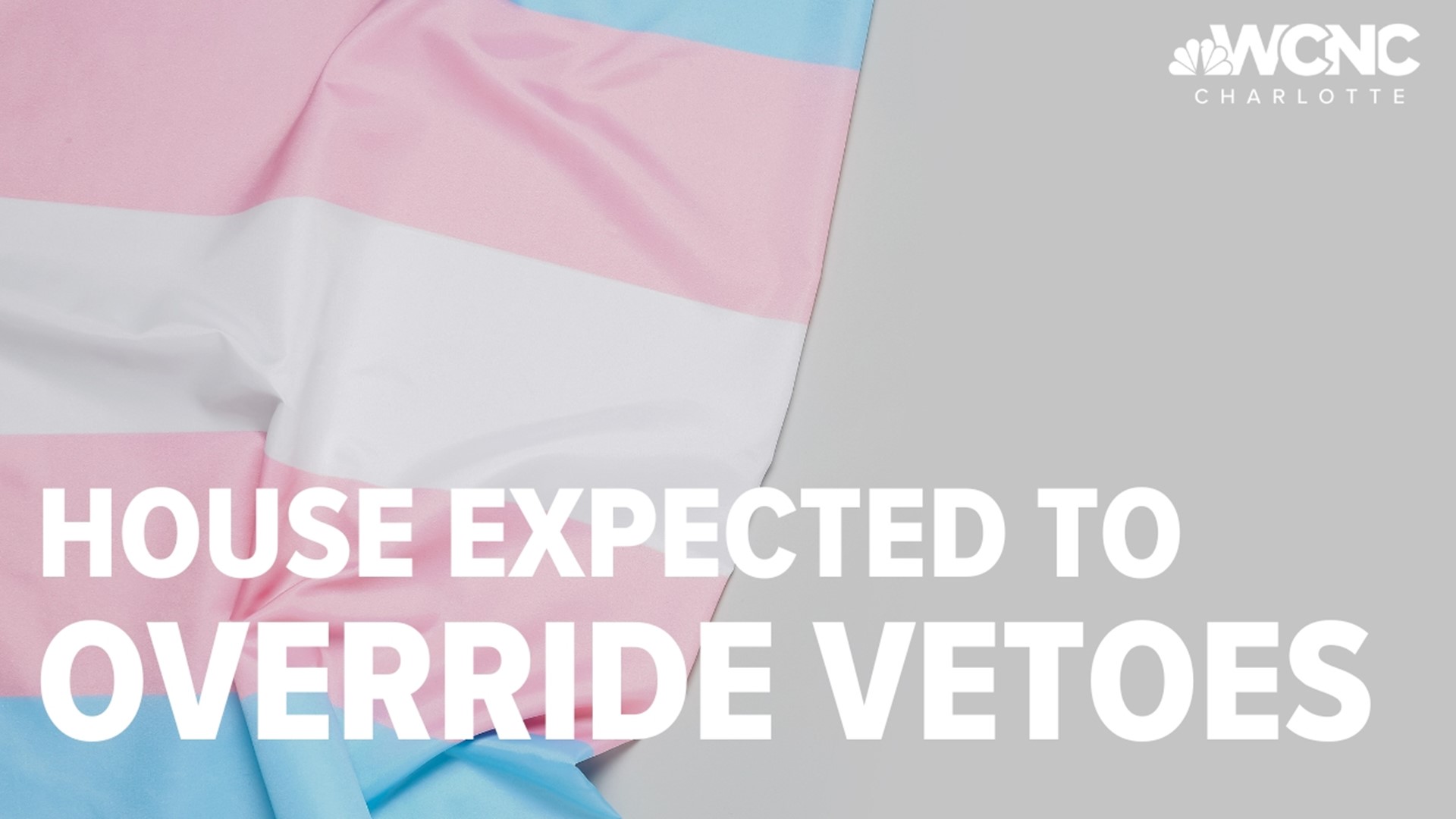 The bills, vetoed by Gov. Roy Cooper, seek to ban gender-affirming care for minors and block transgender girls and women from playing on female sports teams.