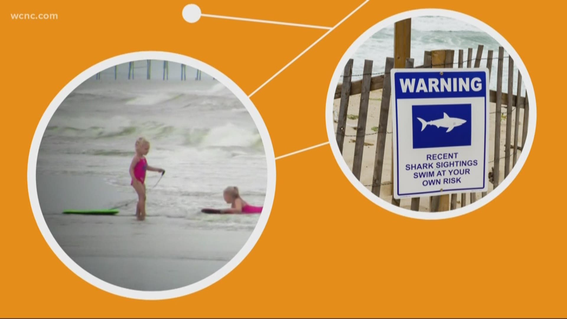 Are you thinking about taking a family vacation to the coast but worried about recent shark attacks? Here's what you need to know after three attacks this month alone in North Carolina.