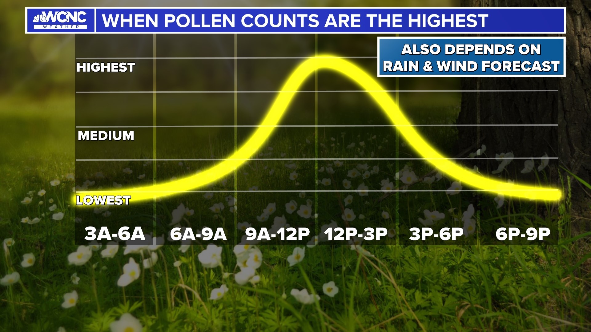 VERIFY: Are pollen counts higher at a certain time of day? | wcnc.com