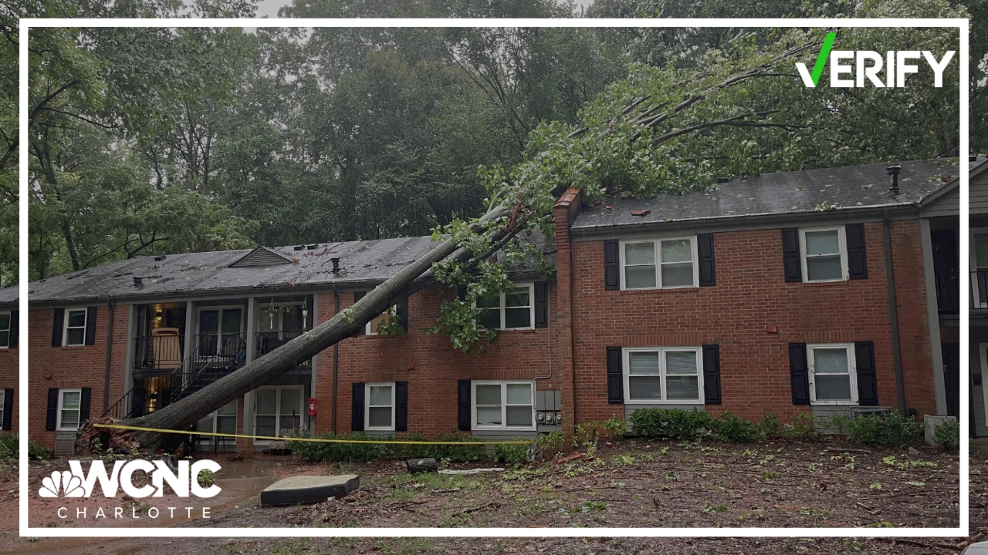 Debby left downed tree limbs and flooded roadways, but what happens if a tree from your neighbor’s yard falls over and damages your property?