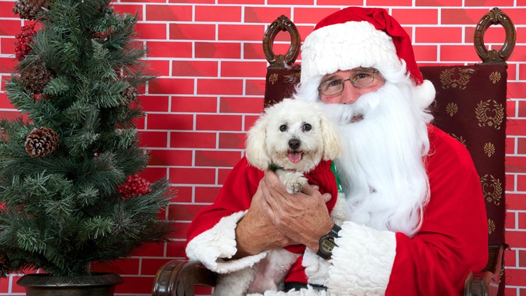 Get your photo with Santa and help support shelter animals this weekend