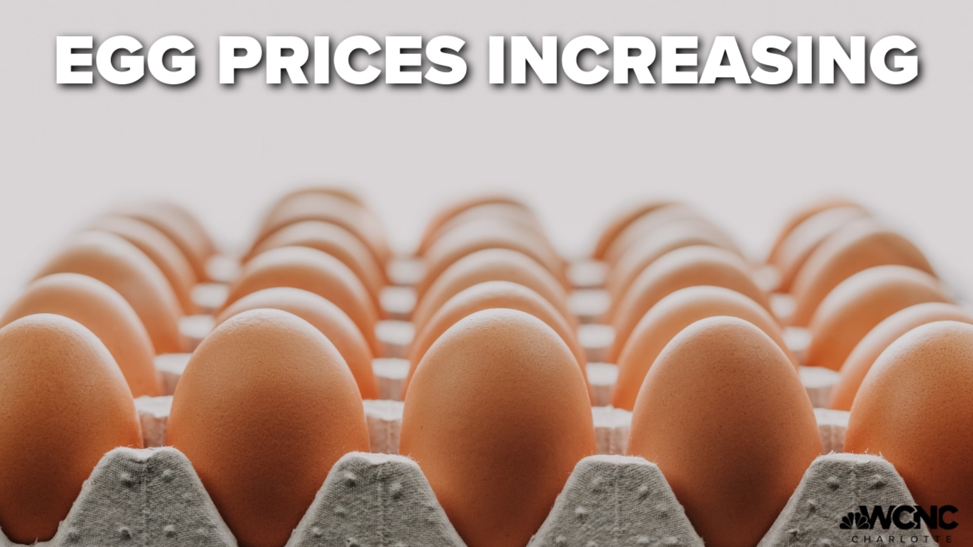 Eggs are a major part of the American diet, and more than any other grocery item, they have skyrocket in price.